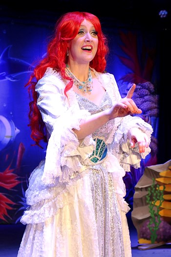 Little Mermaid  (1)